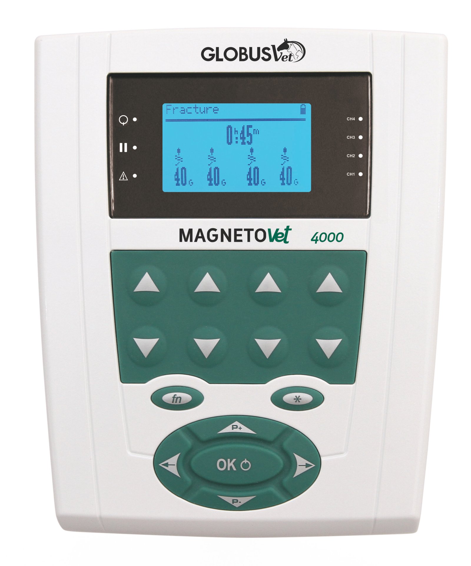 MagnetoVet 4000
