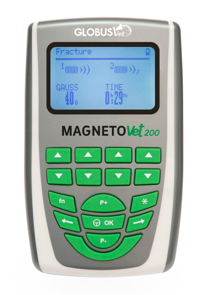 Magnetovet 200