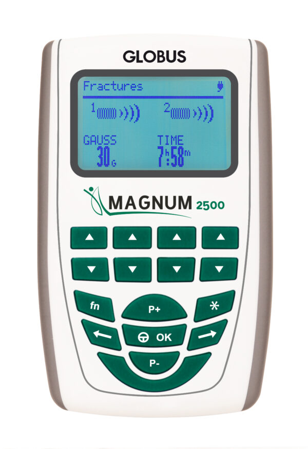 Magnum 2500