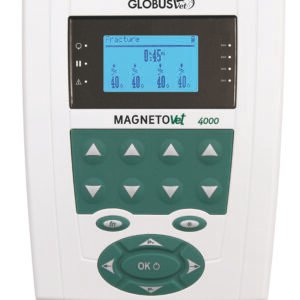 Magnetovet 4000