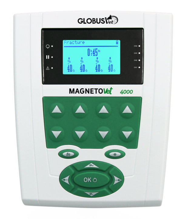 Magnetovet 4000