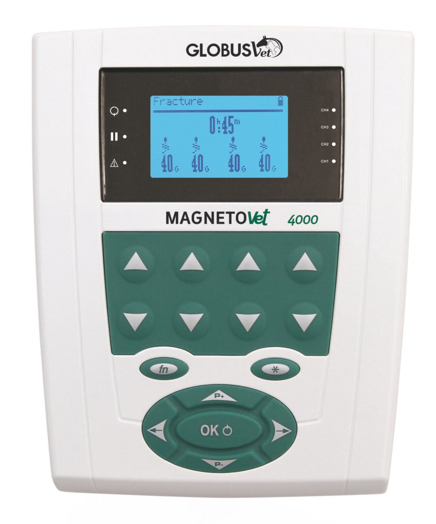 Magnetovet 4000