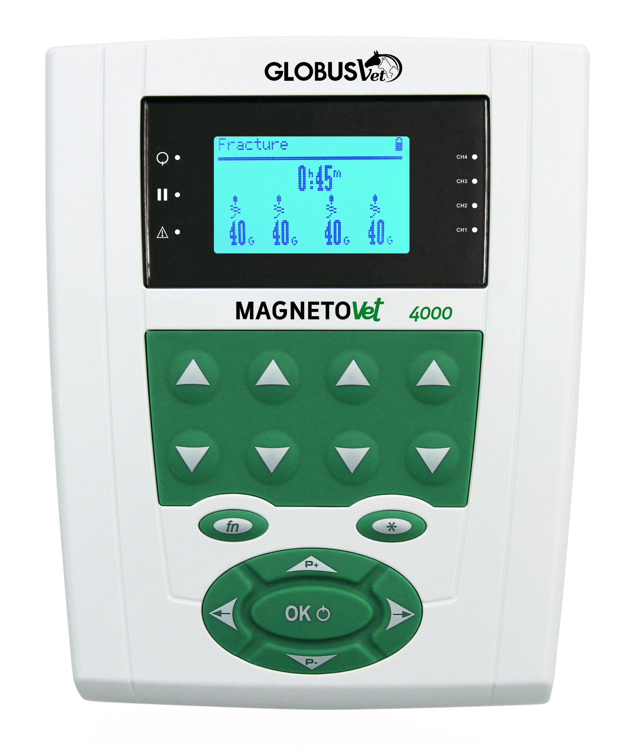 Magnetovet 4000 - Image 1