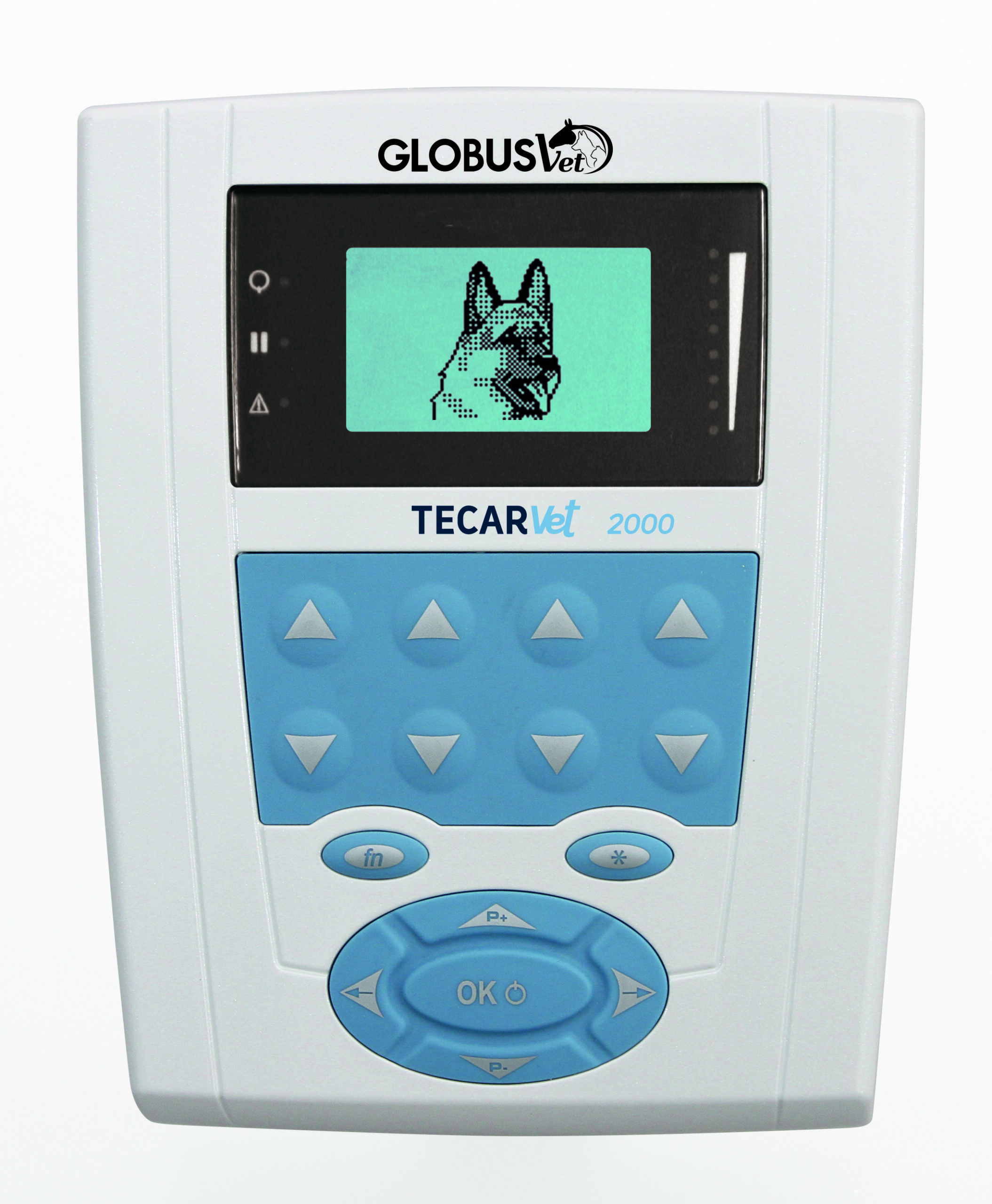 Tecarvet 2000 - Image 1
